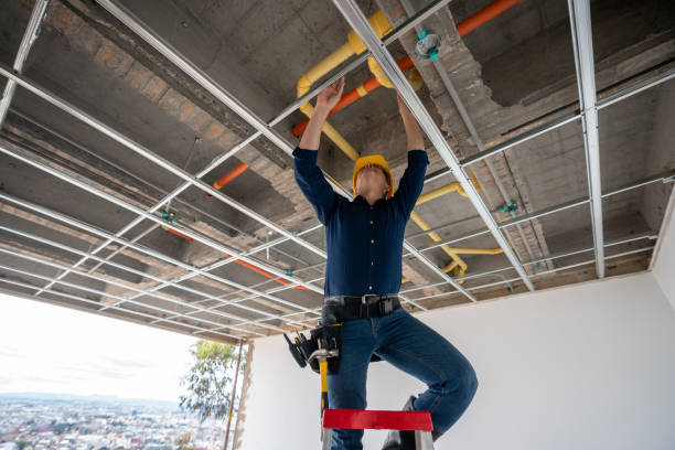 Best Local Plumber Services  in West Sayville, NY